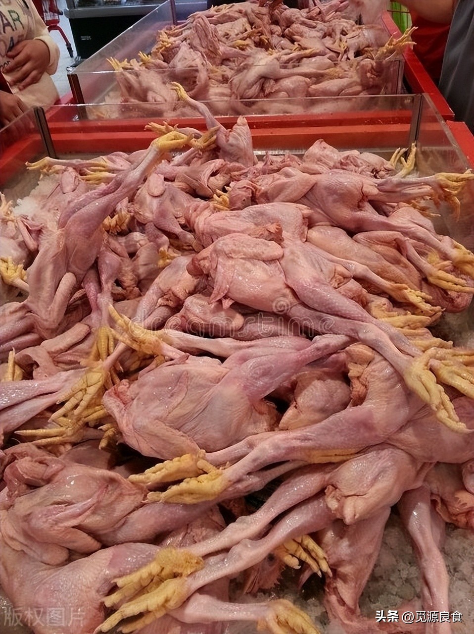 炖鸡汤时下锅多1个步骤鸡汤鲜香,炖鸡汤怎么炖不腥又好喝