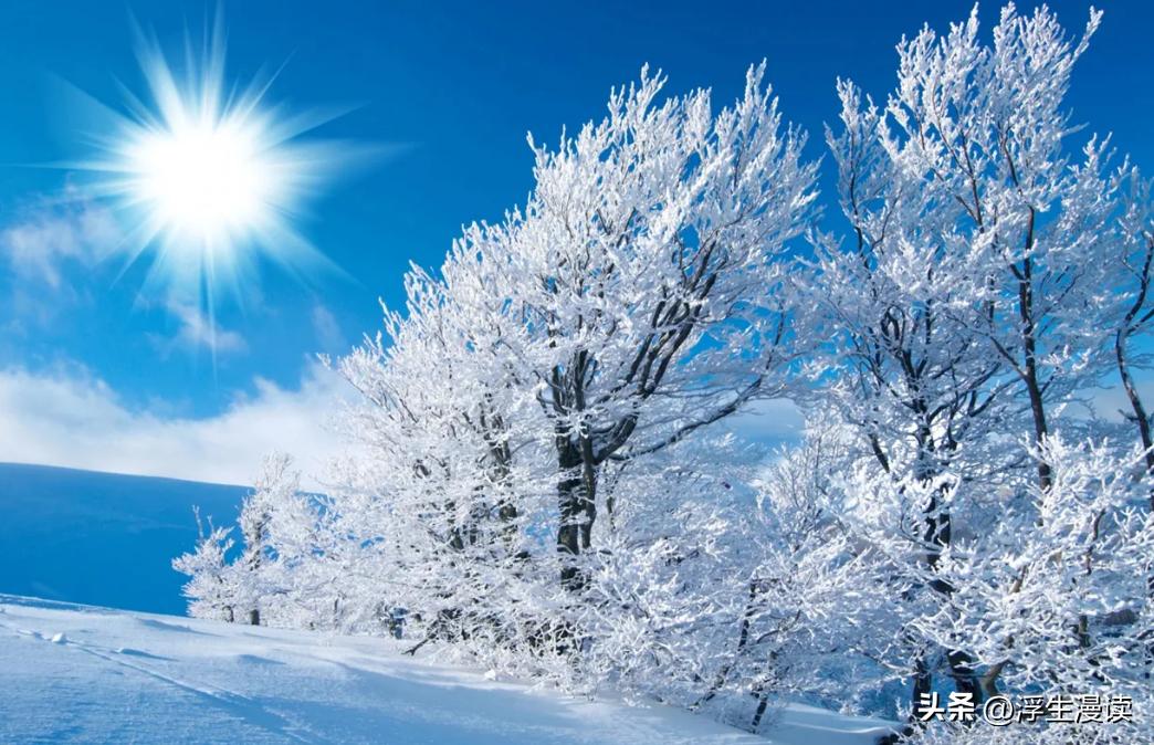 邵雍梅花易数预测实例,梅花易数邵雍七大预言