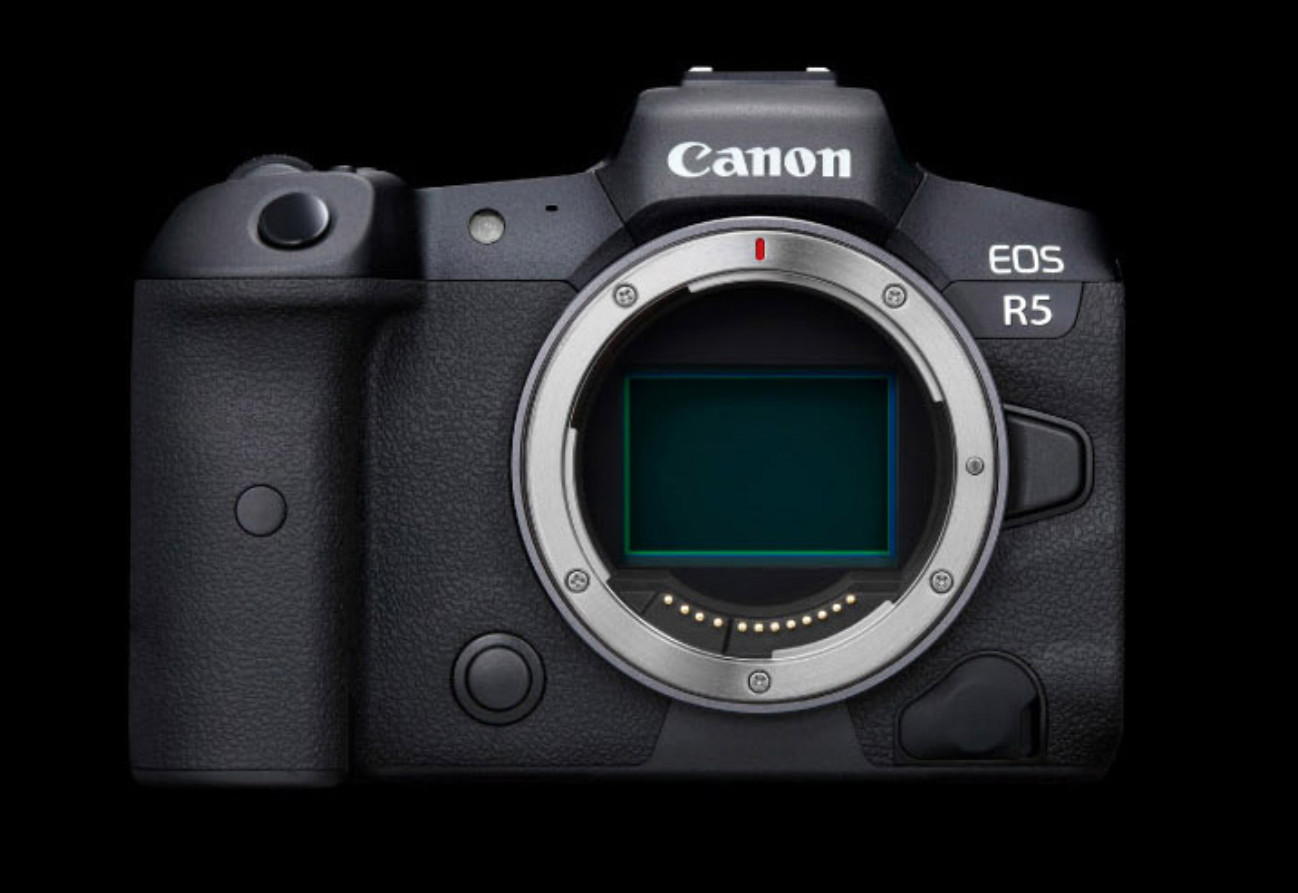 秒杀节值得购买的手机,秒杀微单的单反