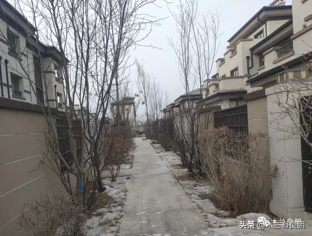 东北城市别墅价格,小县城别墅一万多一平方