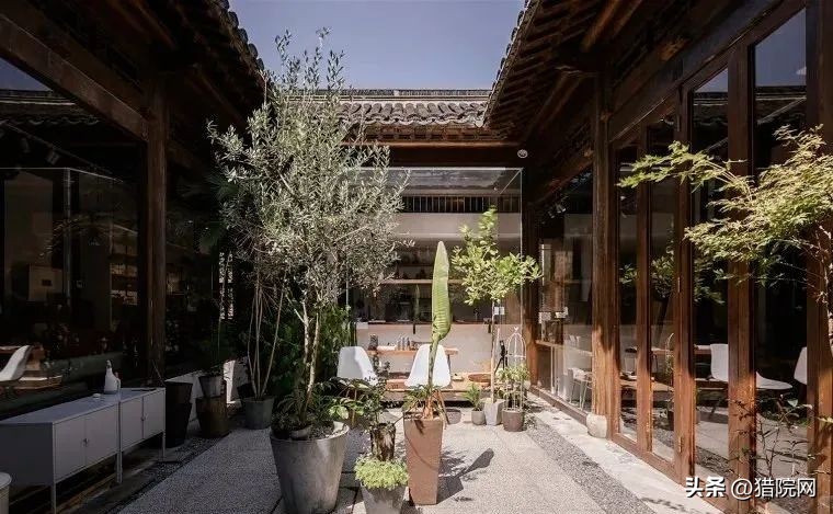 创业型农村小院,乡村创业农家小院设计方案