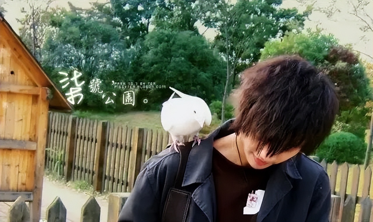 我们为什么那么喜欢周杰伦的歌,我们为什么喜欢薛之谦