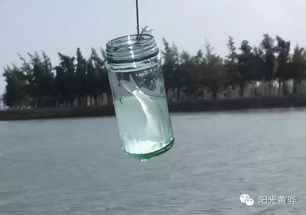 沧州东乡记忆——故乡的水塘