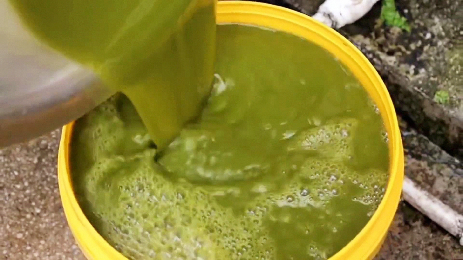 黔东南吃牛瘪的起源和历史,黔东南牛瘪