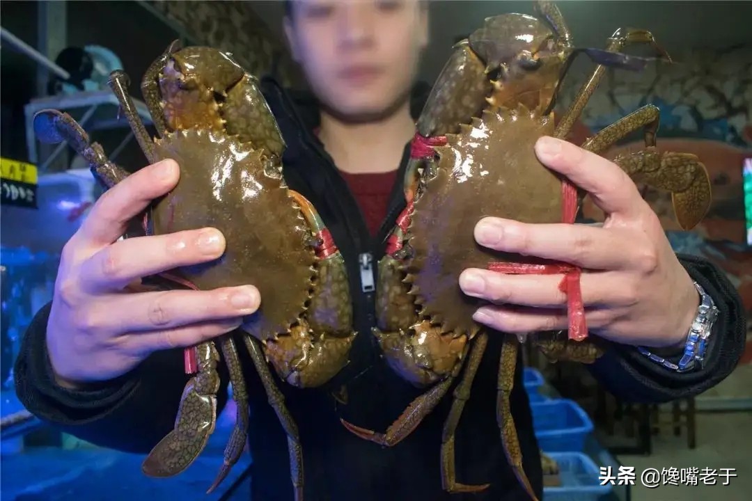 你不知道的五种海鲜,科普一下常见的海鲜