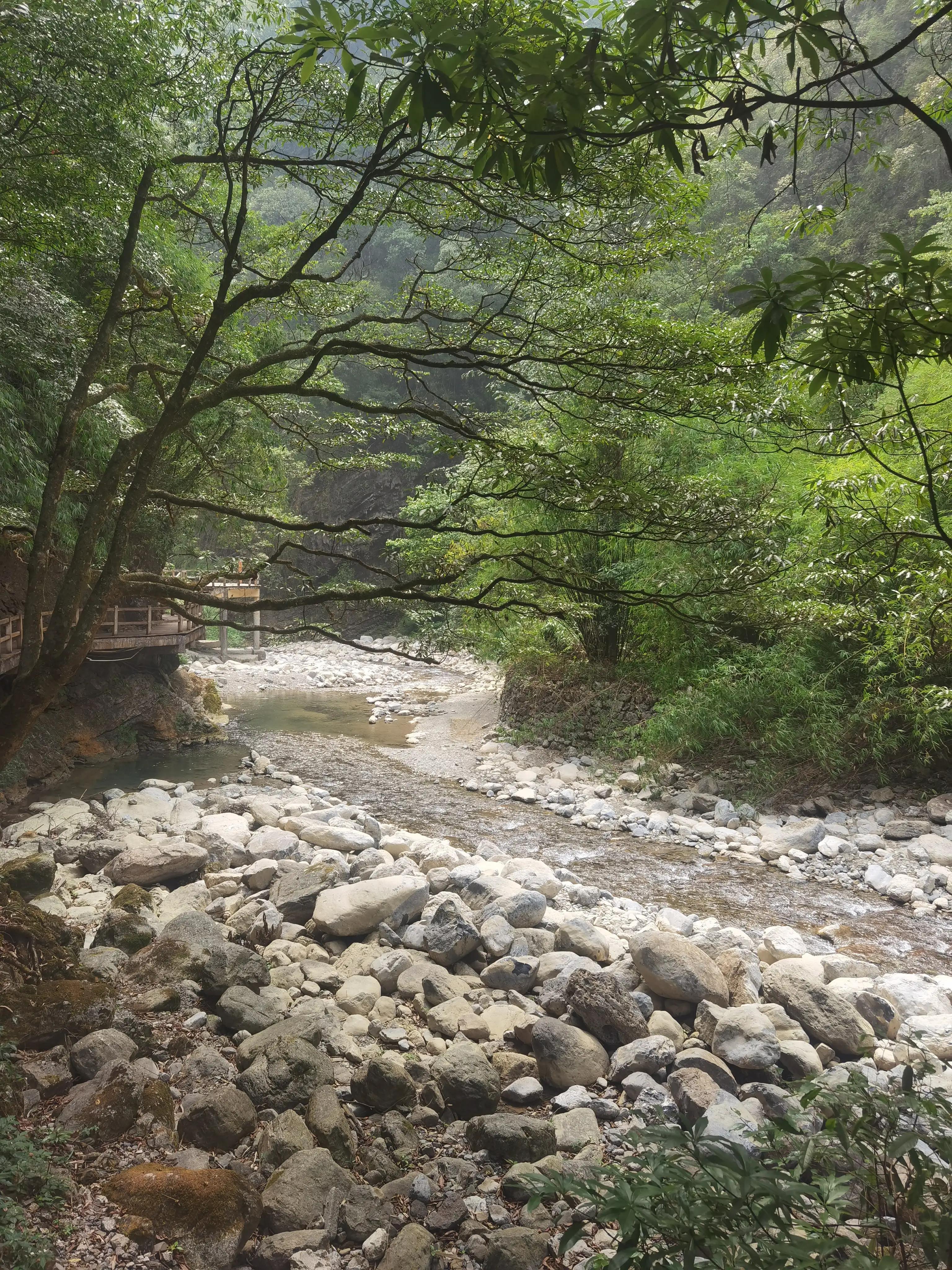 重庆到黑山谷的交通路线,重庆黑山谷旅游攻略美景图片