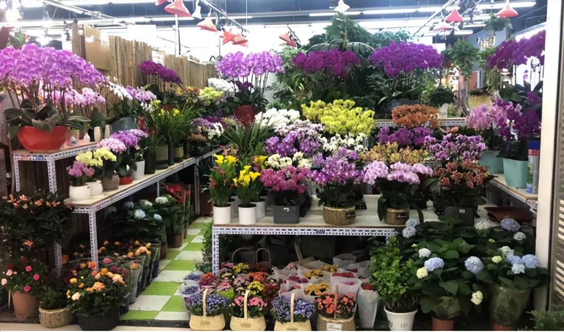 保姆级京圈花市攻略来袭，能解答你关于买花99%的问题