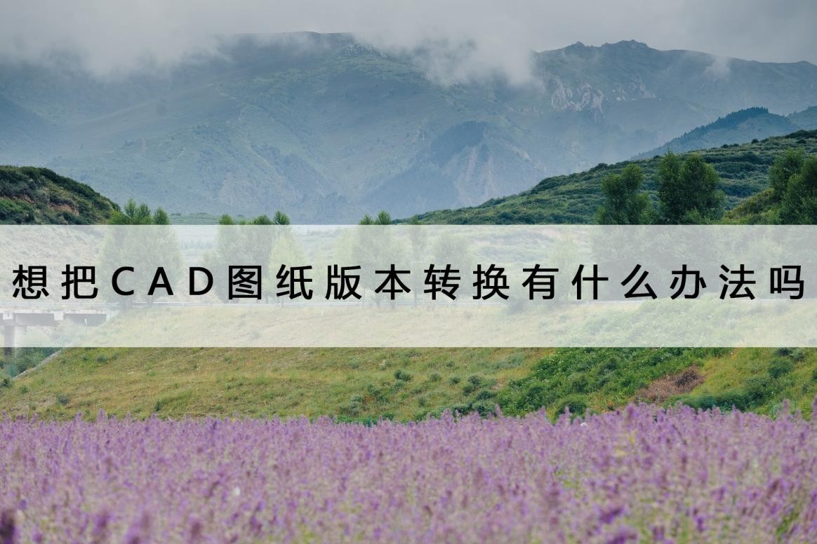 cad高版本图纸在线免费转为低版本,算料宝图纸转换cad版本