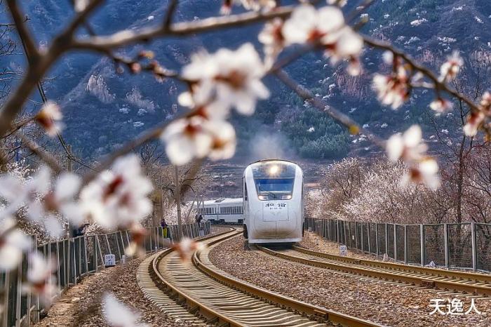 声卡耳放解码器,解码耳放带声卡一体机