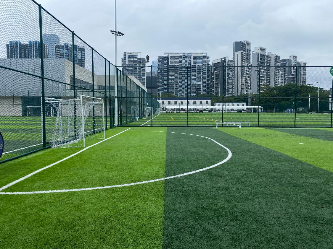 深圳湾体育场足球场开放吗,深圳体育中心专业足球场