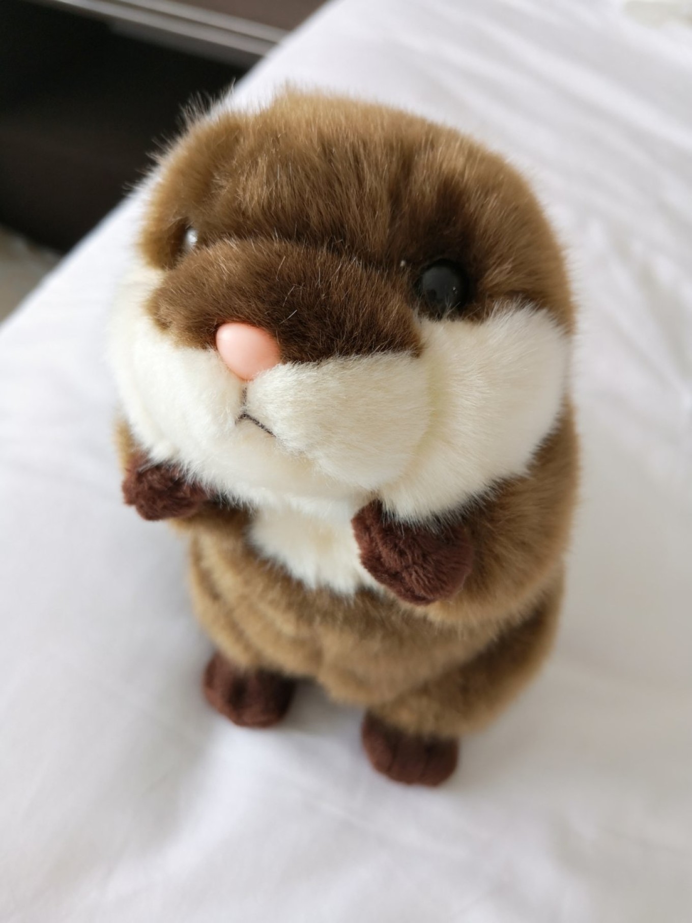 暑期档2019年,2019年暑期档