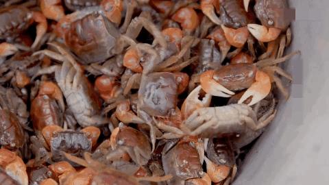 全国各地最出名的特色酱,中国的八大名食