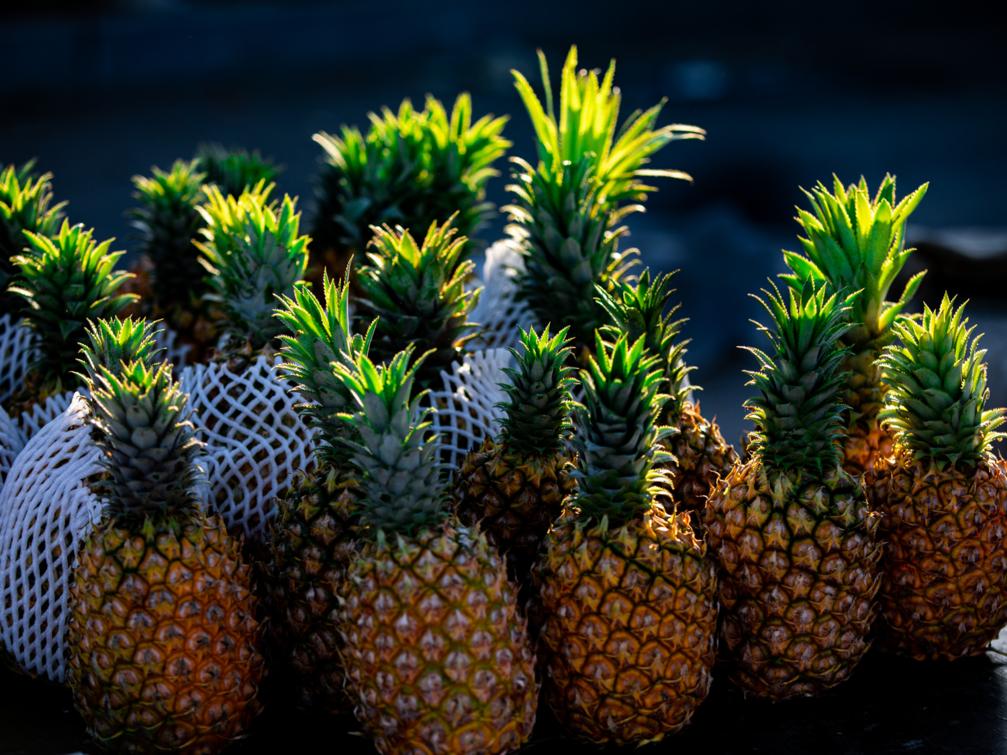 疫情结束后，每个秦皇岛人都想完成的50件小事！