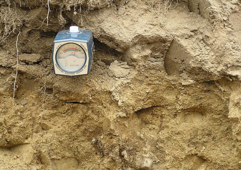 土壤盐化了怎么办,土壤盐渍化作物的危害