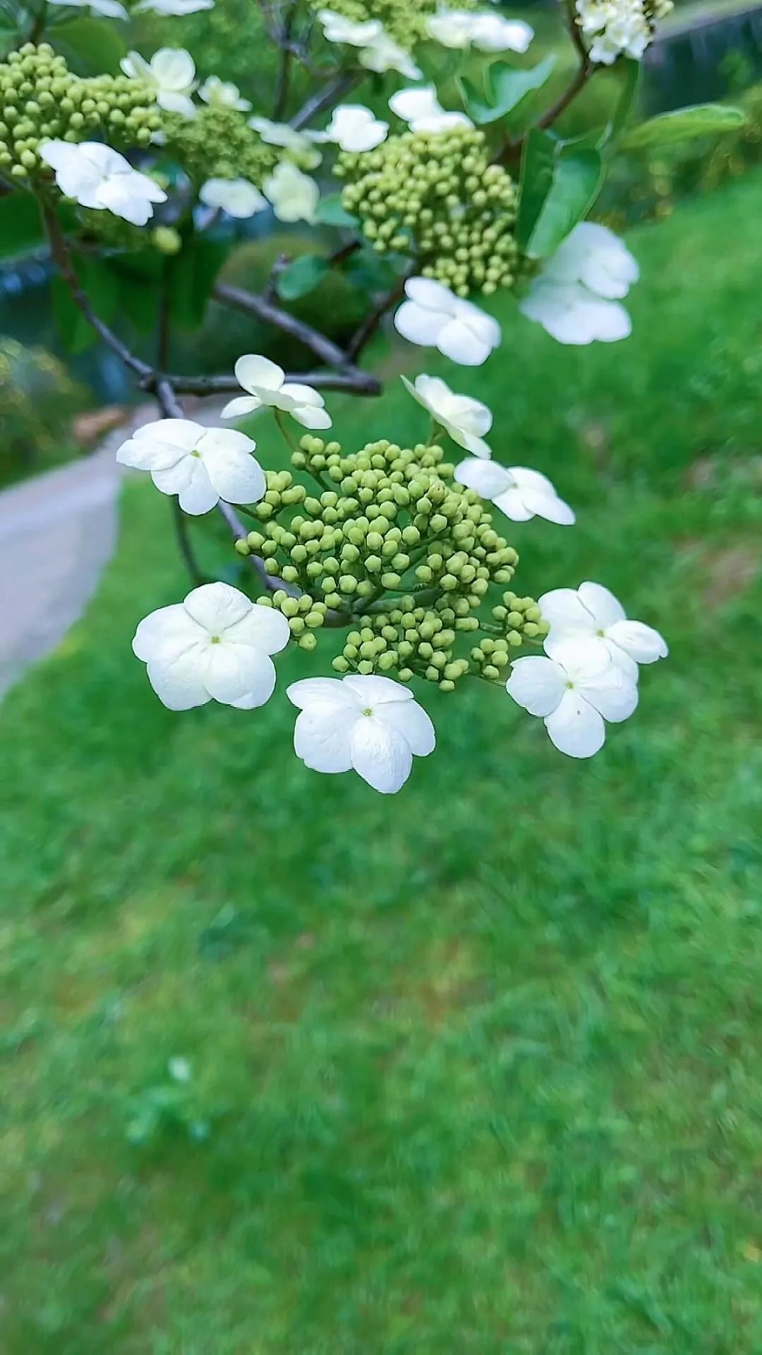 上班励志高清壁纸4k全屏电脑壁纸,黑鲨壁纸动态壁纸高清全屏90帧