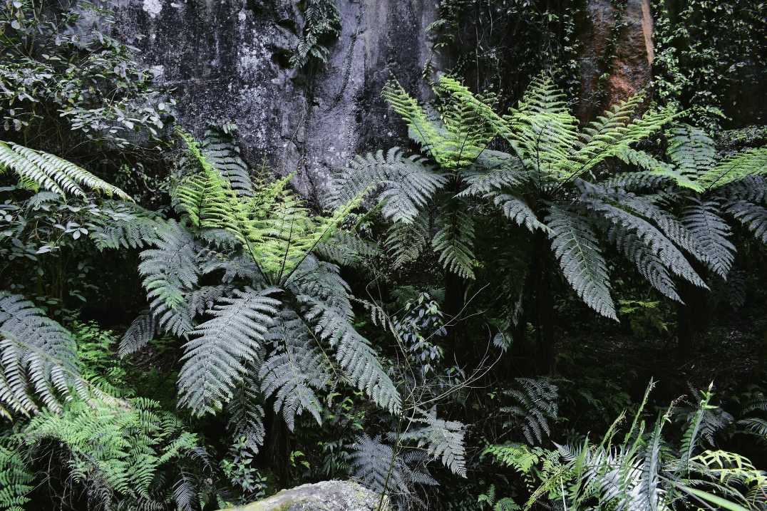 乐山异国风情打卡新去处,乐山游玩攻略及人文风情