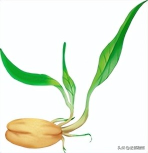 三抓三促见实效凝心聚力促发展,三抓三促行动与主题教育相结合