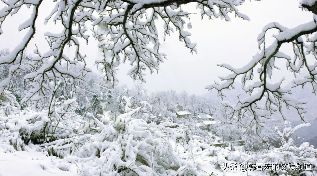 云赏美景,王莽岭美景
