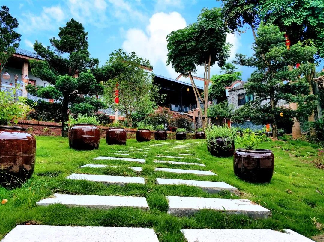 letsgo一周目攻略,letsgo图鉴攻略