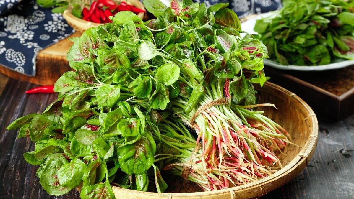 初夏五月吃这些蔬菜就够啦,五月吃什么菜推荐几种应季蔬菜