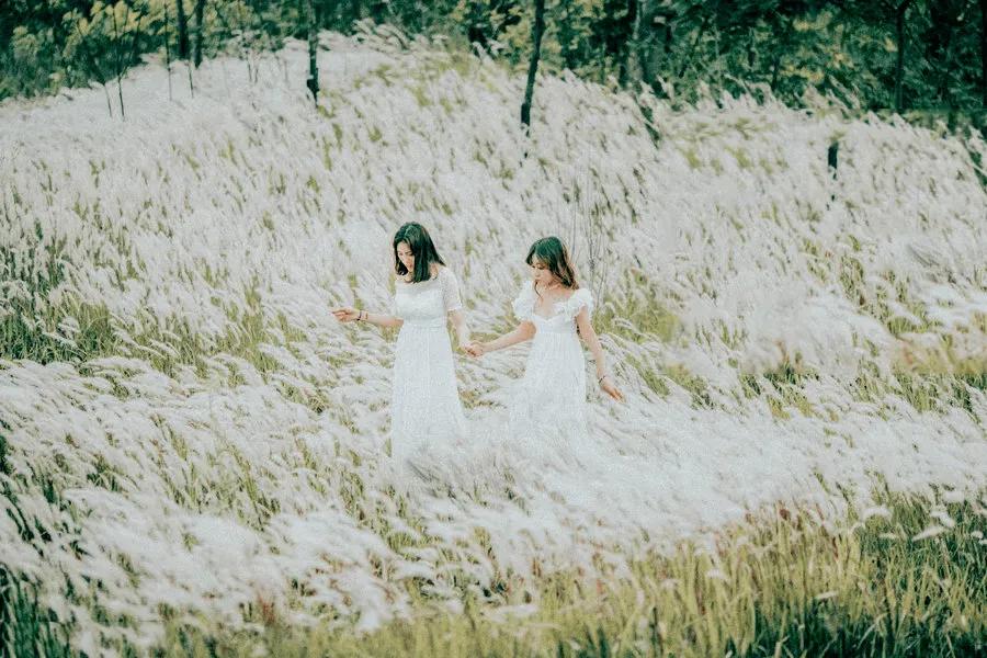 人与人之间除了友谊爱情还有什么,长久的友情不如廉价的爱情