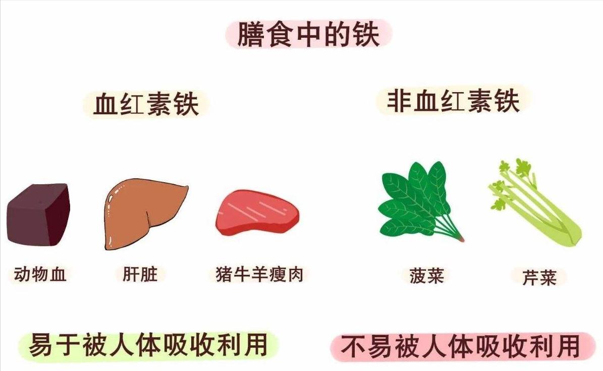 常吃这几种水果宝宝聪明又好看,长胎不长肉的十种理想食物