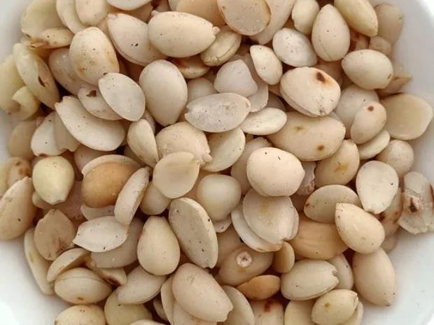 每天学习一味中药枇杷叶,每天学习一味中药