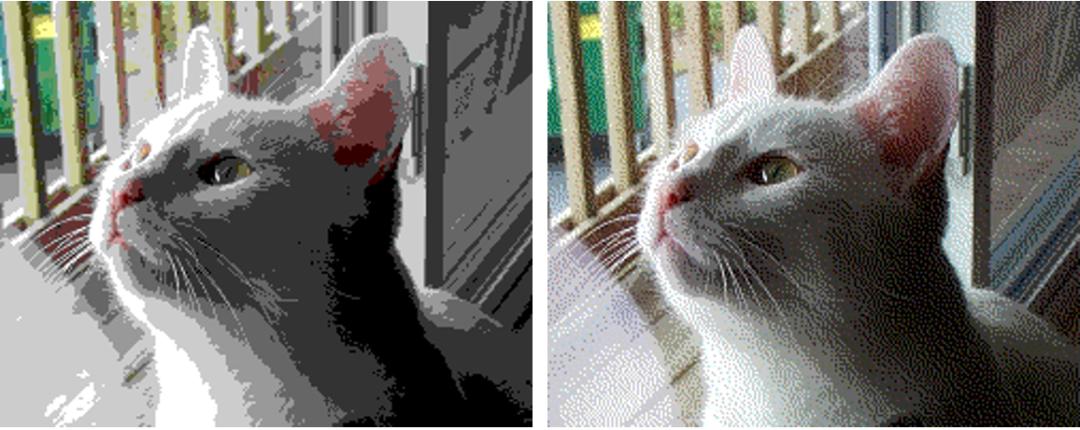 眼睛会欺骗你图片,欺骗你眼睛的视觉效果