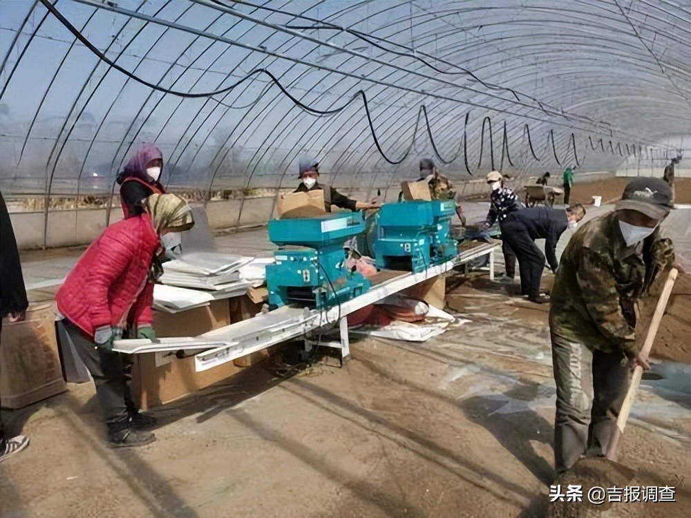 代耕代种托管,代耕代种代收代管全程托管