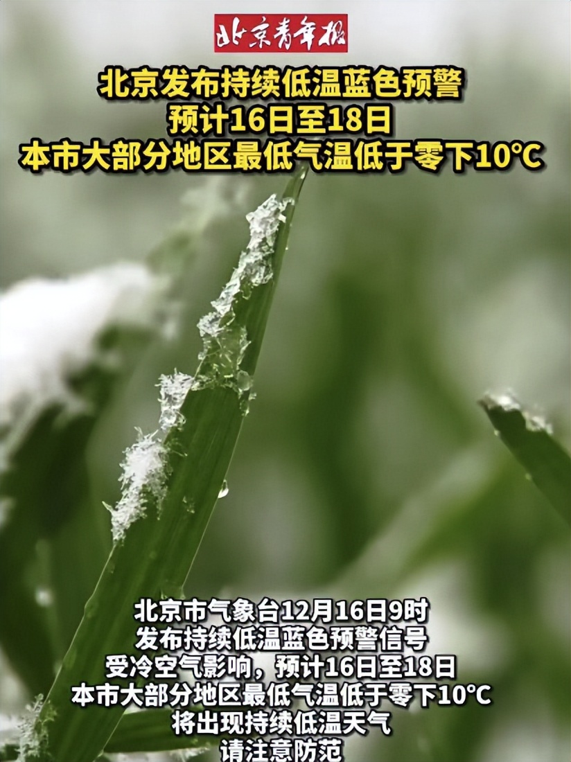 骑手阳了：病1天损失一两千，发烧时承受压力和愧疚，运力不足加价一百元也没人接