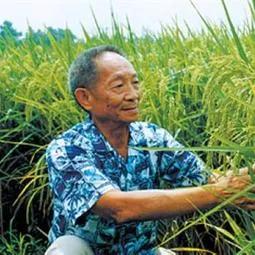 那些你不知道的成语,国士无双成语典故200字