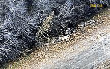 乌克兰士兵榴弹发射器威力多大,乌克兰美制榴弹发射器