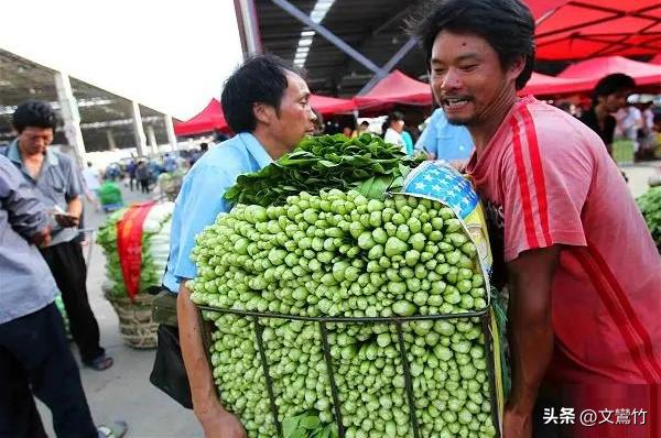 东北小伙海参崴,东北小伙去海参崴创业