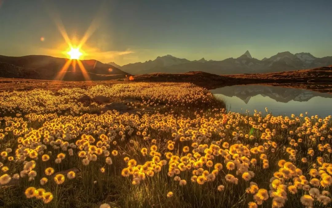 国宝大熊猫三年级下册作文范文,国宝大熊猫作文300字左右整篇