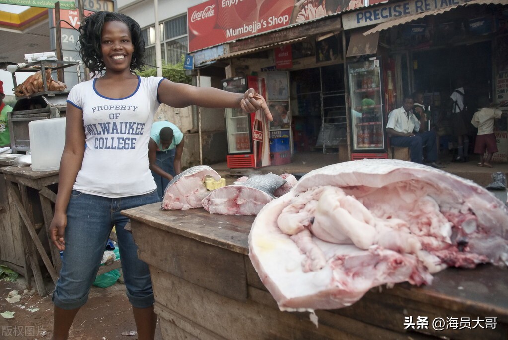 被迫去国外打工,去乌干达带保镖