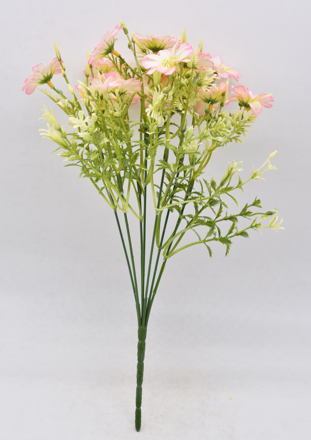 樱花的寓意和花语的作文,樱花的寓意和花语是什么