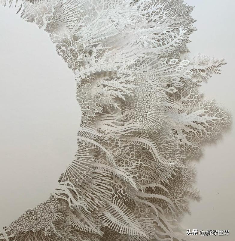 纸艺作品绘画,千变万化的纸艺术作品