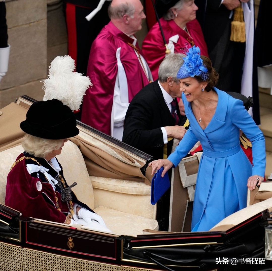 卡米拉王后的孙辈 (卡米拉王后的孙辈照片)