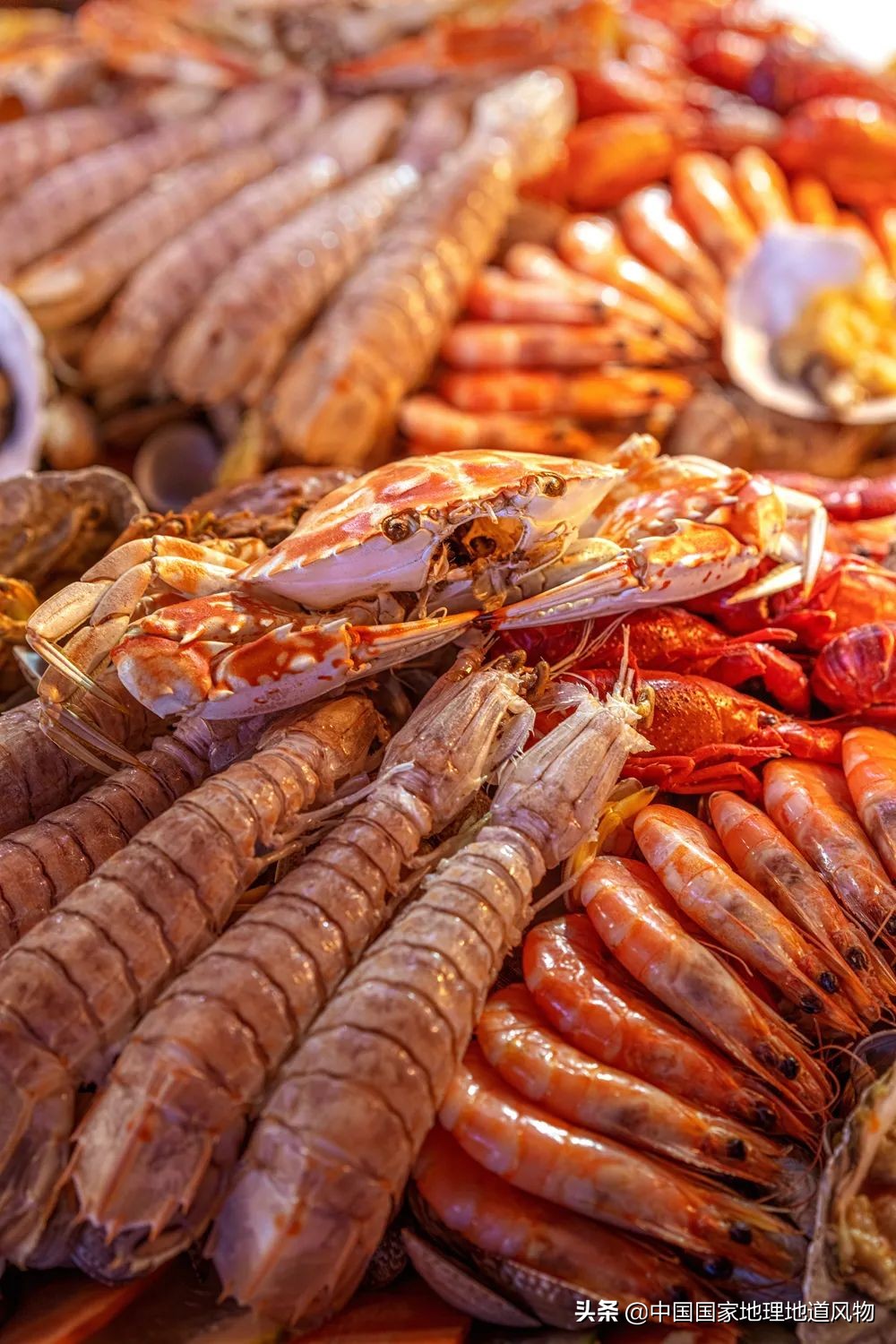 中国哪里可以吃超大皮皮虾,中国吃皮皮虾最好的地方