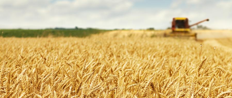 中粮集团年营收和利润,中粮营收