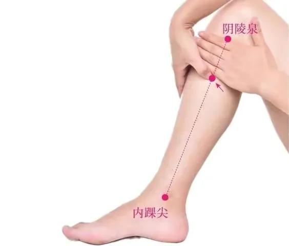 妇女之友地机穴,月经不调的治疗要穴