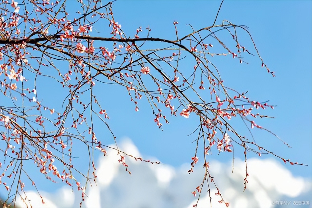 阳气生发养生方法,阳气生发最关键的一个月