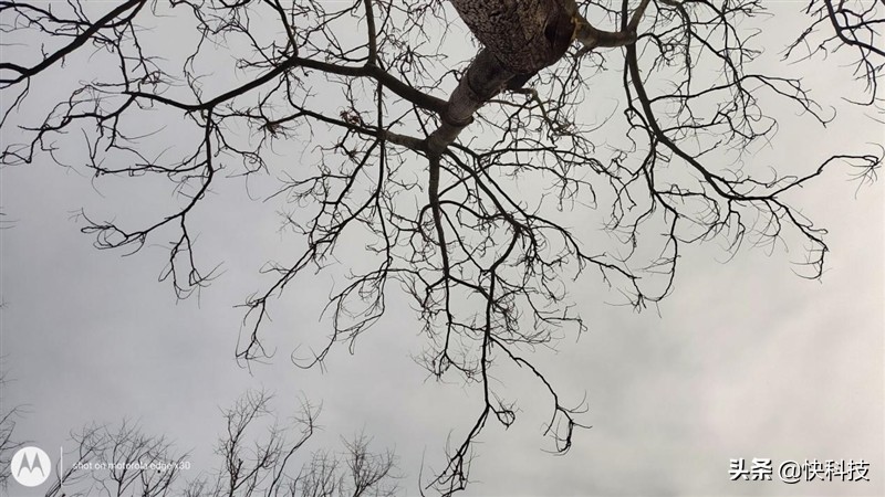 摩托罗拉edgex30全面屏版,摩托罗拉edgex30售价2999