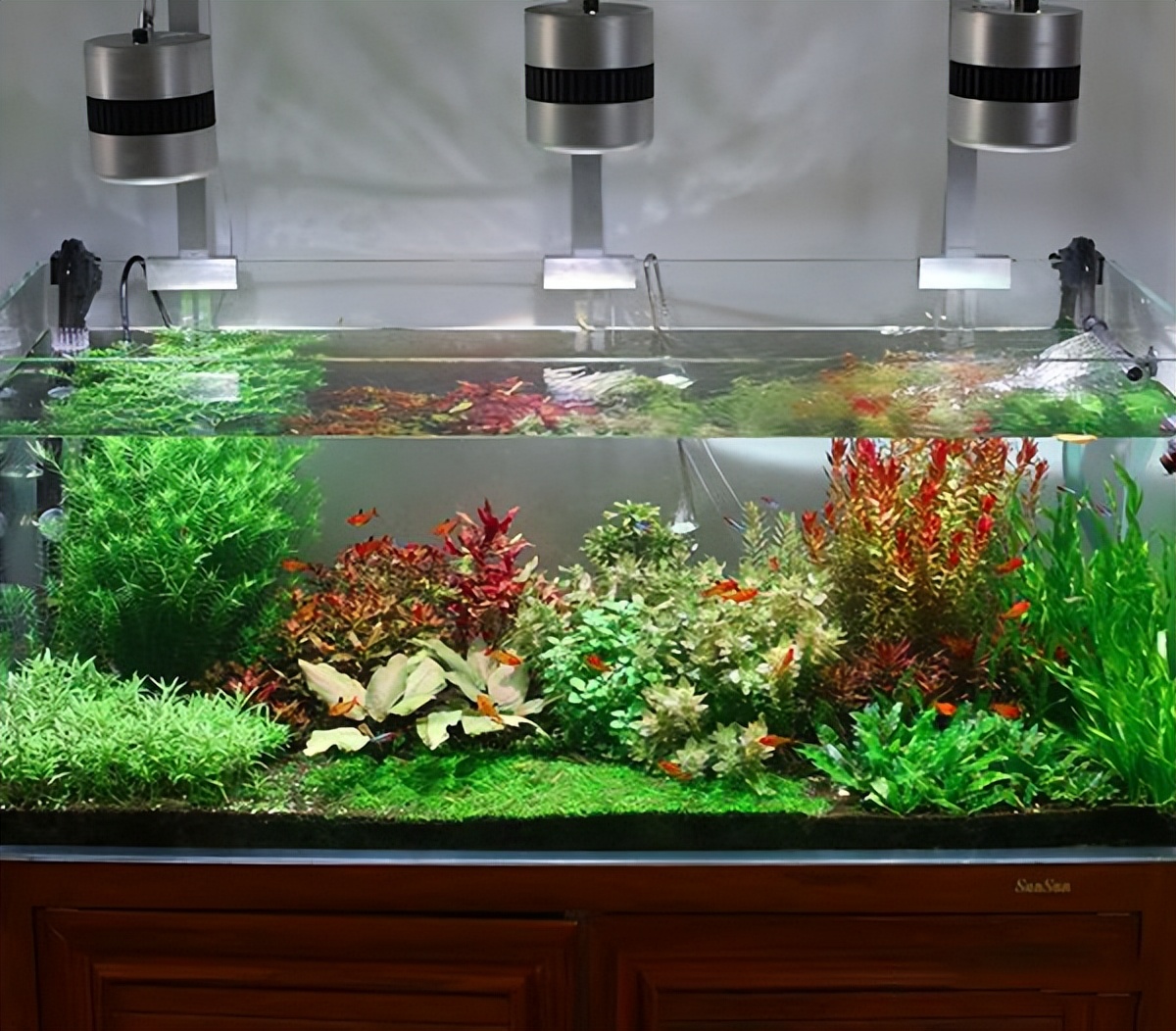 鱼缸自己制作,鱼缸制作方法全过程