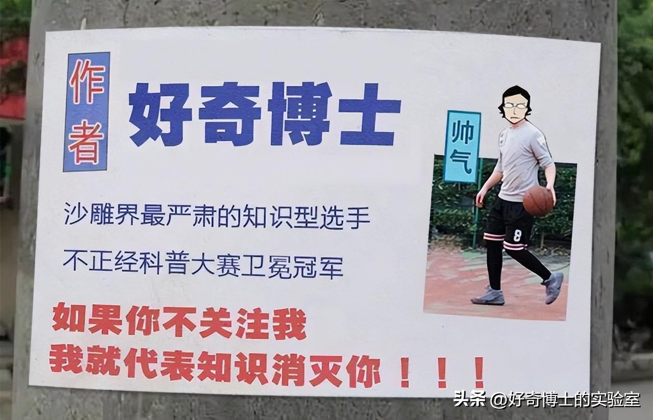 密密麻麻又小又黄的颗粒是虫卵吗,家里褐色小颗粒是什么虫卵