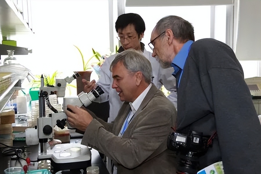 harvardcollege和哈佛大学,哈佛大学具体地址