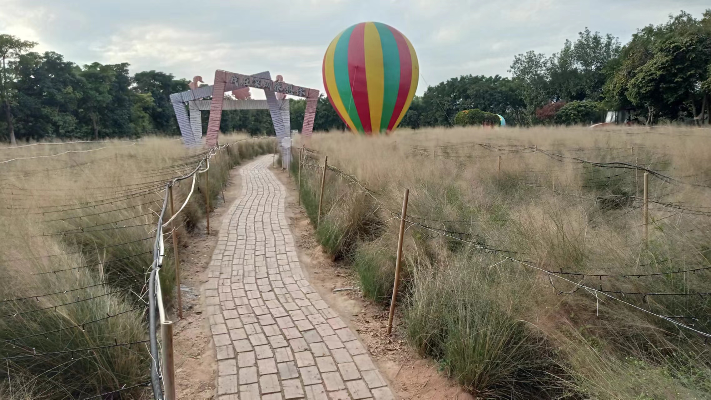 周朝阳：曾经初中同学搞了一家新三板！大学同学2016年身家2亿...