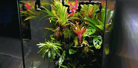 在卧室造一片弱肉强食的危险雨林，会打雷还真的会下雨