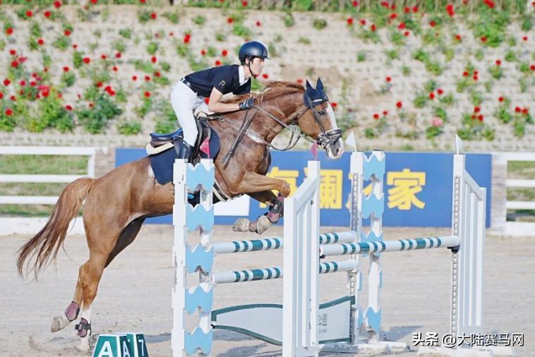 沈阳东骏青奥马术俱乐部有限公司,沈阳东骏青奥马术
