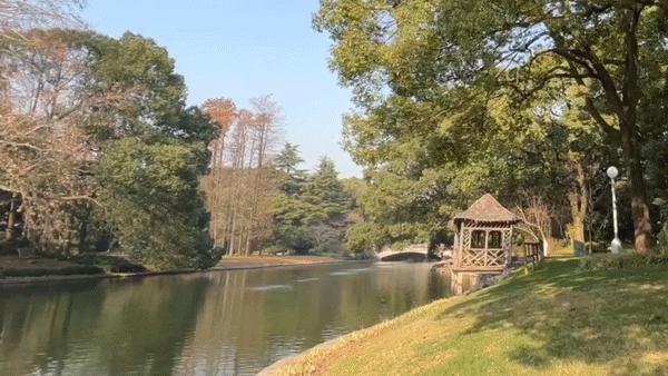 魔都，隐蔽60年的花园酒店，一窗一檐都是故事